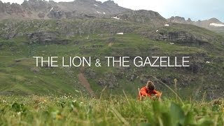 The Lion amp The Gazelle [upl. by Woodie]