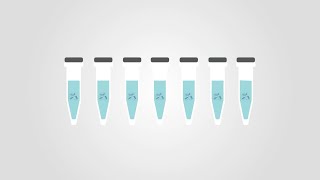 Tips and tricks Phospho Western Blots [upl. by Yrrehc209]