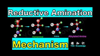 Reductive Amination Reaction Mechanism [upl. by Mungam]