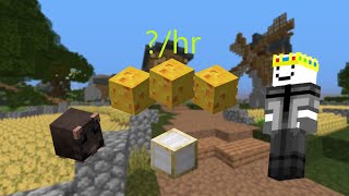 The Best Early Game Money Making Method In Hypixel Skyblock [upl. by Elinor244]