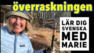 Överraskningen  Lär dig svenska med Marie [upl. by Ewer926]