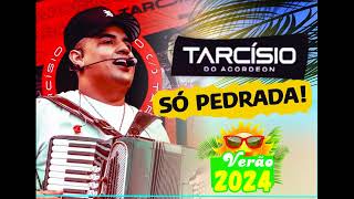 TARCISIO DO ACORDEOM  SÓ PEDRADA  2024 [upl. by Mari]