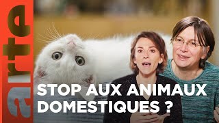 Fautil libérer les animaux domestiques   Les idées larges  ARTE [upl. by Schoenfelder]