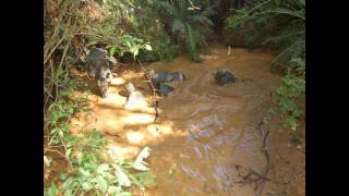 2º Cia de Fuzileiros Leve VANGUARDEIRA em Ralo da Boina [upl. by Newlin]