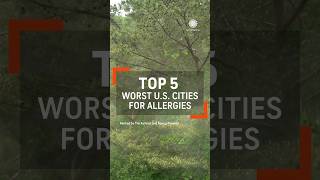 Top 5 Worst Allergy Cities in the US [upl. by Aneerhs]