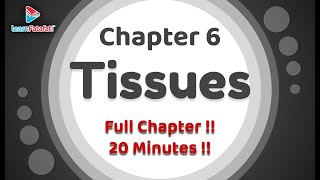 Class 9 Science Tissues OneShot Full Chapter in 20 Minutes  LearnFatafat [upl. by Sontich]