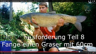 Die Herausforderung 8  Fange einen 60cm Graskarpfen mit Pose [upl. by Aikyt]