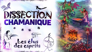 Dissection Chamanique Les élus des esprits La Chaîne spirituelle [upl. by Ahsital333]