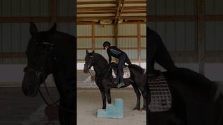 Riding my friesian mare for the first time in a year😍🔥 [upl. by Anastasia]