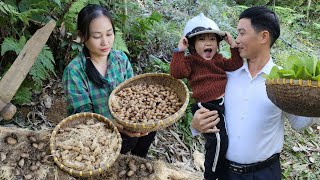 Happy Life Of Husband amp Wife Harvesting Palm Weevils  Garden Care amp Cooking  Ly Phuc An [upl. by Azaleah]