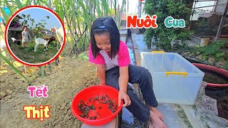 Dự Án Lớn Của Ngọc Mai Làm Bể Nuôi Cua Và Đưa Vẹt Con Sang Nhà Mới  Quế Nghịch [upl. by Aelak]