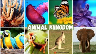 Animal Kingdom Major Phyla with Examples  Phylum Porifera to Class Mammalia  NEET Biology [upl. by Hgielra]