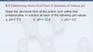 3B 95 AcidBase Properties of Amino Acids [upl. by Niveb]