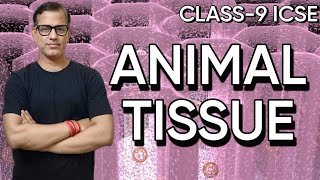 Animal Tissues  Class 9 Tutorial [upl. by Fendig483]