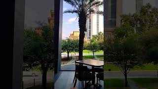 Retozando en la terraza del bar de Sanborns Plaza Fiesta San Agustín [upl. by Cavanaugh]