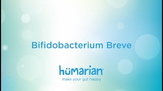 Bifidobacterium Breve [upl. by Aramanta]