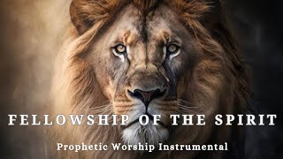 Prophetic Warfare Worship Instrumental FELLOWSHIP OF THE SPIRITBackground Prayer Music [upl. by Eessej]