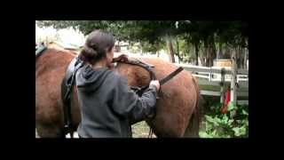 UCS 2225 Part 2 Tack for Farming with Horses [upl. by Branen616]