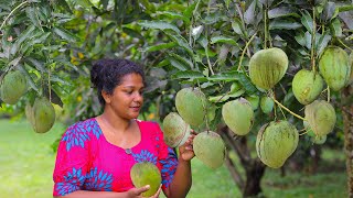 quotOrganic Tropical Giant Mangoesquot🥭🥭In My Backyard Filled With Super Sweet Mango Meat [upl. by Benedick]