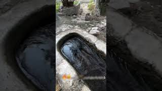 ये लड़का पानी के pool में कूद गया  jump water  shortsvideo [upl. by Bass]