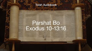 Torah Audio Bible Parshat Bo Exodus 101316 English amp Hebrew Verses [upl. by Augustus634]