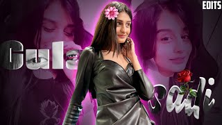 payal gaming x gulabi sadi edit ae inspired alight motion edit  trending  Love  alight motion [upl. by Levi]