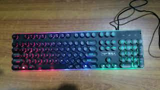 EWEADN GX 60 RGB keyboard [upl. by Naryb]