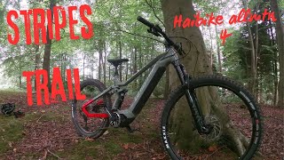 New Trail quotStripesquot Guisborough woods Emtb Haibike allmtn 4 [upl. by Anisor188]