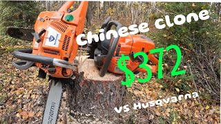 Chinese clone saw VS Husqvarna pro Does it hold up chainsaw firewood holzfforma [upl. by Harrak853]