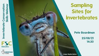 Sampling Sites for Invertebrates [upl. by Asel]