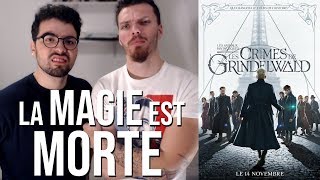 LES ANIMAUX FANTASTIQUES LES CRIMES DE GRINDELWALD  Critique à chaud spoilers à 1528 [upl. by Jacobba]