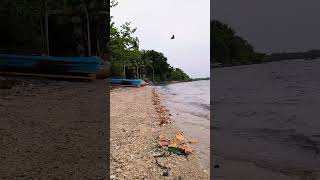 Lagoons Waves amp Serenity A Trincomalee Escape [upl. by Champagne624]