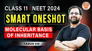 MOLECULAR BASIS OF INHERITANCE CLASS 12 ONE SHOT  NEET 2024  SMART ONE SHOT  BOTANY BY TARUN SIR [upl. by Turner]