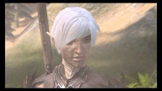 Dragon Age II Mark of the Assassin funny Fenris dialogue [upl. by Aira]