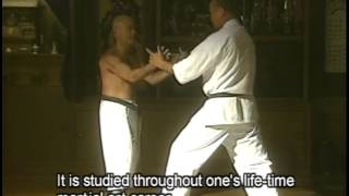 Okinawa Karate Volume1 Part 1 [upl. by Heida]