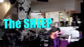 The Sheep  Pink Floyd Tribute Band  ECHOES [upl. by Ahsinauq360]