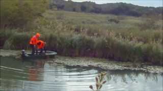 Chasse sanglier en Camargue [upl. by Frost800]