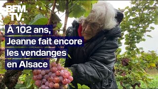 À 102 ans Jeanne continue de faire les vendanges en Alsace [upl. by Colbye]