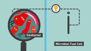 Microbial Desalination for Low Energy Drinking Water [upl. by Gnal]