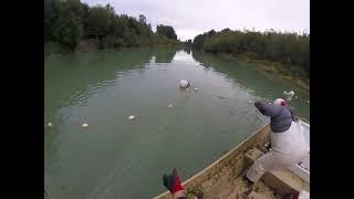 Nisqually River fishing 2023 Checking set at sunrise Part 2 [upl. by Eciened]