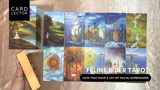 THE FELINE RIDER TAROT  Review By CARDLECTOR [upl. by Heintz532]