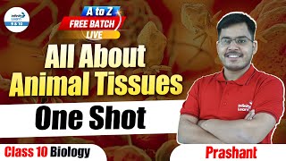 All About Animal Tissues One Shot  Biology  Class 9 Preparation  LIVE  InfinityLearn910 [upl. by Atsirhcal998]