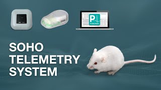 The Future of Infectious Disease Research  SoHo Telemetry System by DSI [upl. by Berni]