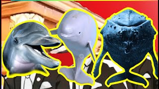 Dolphine Vs Dugong Vs Whale  Animals Coffin Dance COVER [upl. by Nol]