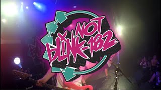 Not Blink182  Dammit  July 2024 [upl. by Gresham]