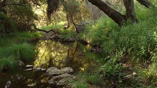 Segment 4  Encinal Canyon Road to Latigo Canyon Road [upl. by Aem676]