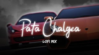 Imran Khan  Pata Chalgea Lofi Mix [upl. by Olivero]