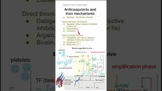 Anticoagulants and their mechanisms [upl. by Reeva]