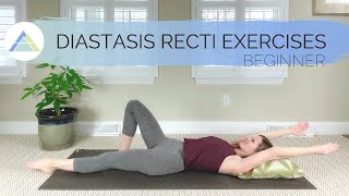 Beginner Diastasis Recti Exercises  Build deep abdominal amp pelvic floor muscle strength [upl. by Eirolam]