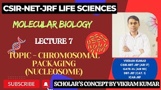 Chromosomal Packaging Chromatin  Packaging Ratio  30nm Fibre [upl. by Charron]